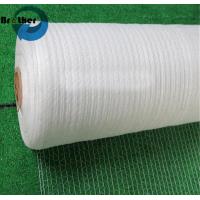 China Fashion Modern 9480' 11800' 7000' Length Agriculture Hay Baling Net HDPE Net Wrap For Sale for sale