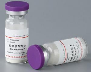  99% Purity Biochemical Reagents Ribonuclease A Enzyme 10mg/Vial Lab Research Manufactures