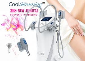  4 Handles Cryo Fat Freezing Machine Equipped With Self Cleaning System Manufactures