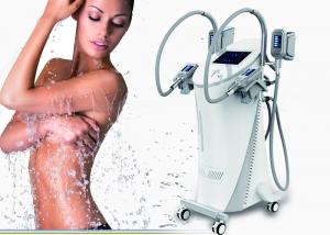  Body Slimming Fat Freezing Machine Coolsculpting Equipment Vertical Type Manufactures