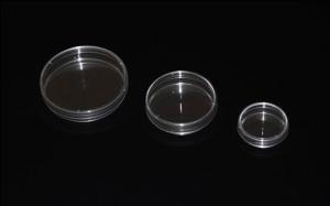  Transparent Plastic Culture Dish Round Shape 35 mm 60 mm 70mm 100 mm Manufactures