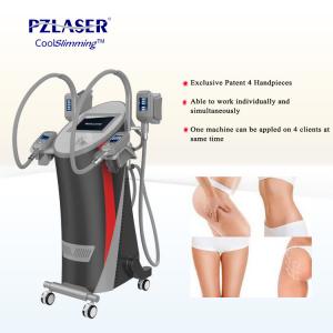  CE Cool Tech Cryolipolysis Fat Freeze Slimming Machine For Weight Loss Manufactures