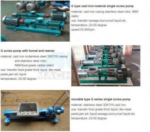  Stainless Steel Non-Leakage Chemical Centrifugal Pump & Mini Screw Pump/High Quality Pumps Manufactures