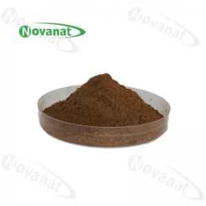 Cordyceps Extract Polysaccharides 20%-40% / Cordyceps Sinensis Extract Cs-4 / Clean Label Manufactures