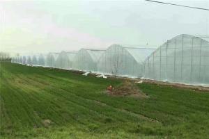  Greenhouse Insect Mesh Netting , Mosquito Net Window Screen ISO9001 Listed Manufactures