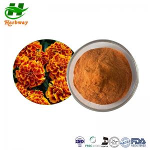 China Marigold Extract Powder 20% Lutein CAS 127-40-2 Tagetes Erecta L on sale