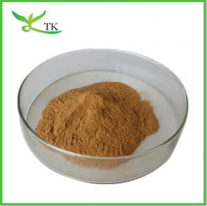 China High Quality Radix Angelica Sinensis Root Extract Dong Quai Extract Powder on sale