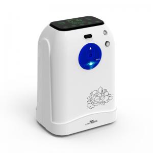 Class I Stationary Portable Oxygen Concentrator For Home
