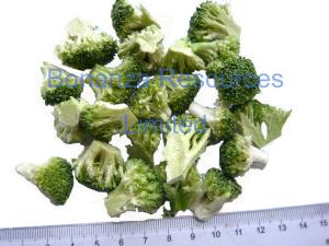 China 2018 New Natural Vegetable Food Freeze Dried Broccoli on sale