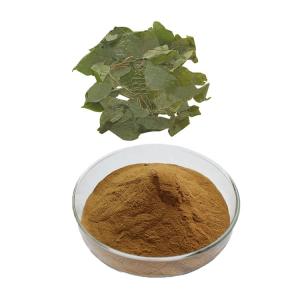 China Pure Herbal Extraction Epimedium Sagittatum Extract Powder 10% Lcariin on sale
