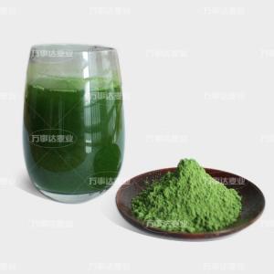 China Cereal Grass Powder Barley Grass Powder  200mesh ISO GMP Manufacturer Sale on sale