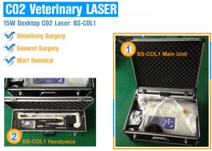  Protable Fractional Co2 Laser Treatment Machine For Skin Resurfacing / Wrinkles Manufactures
