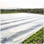 100 Polypropylene Fabric , Spunbond Non Woven Fabric Used In Agriculture