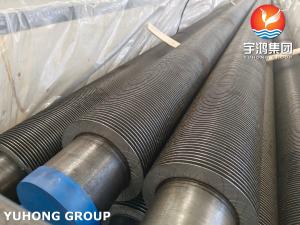  HEAT EXCHANGER FINNED TUBE ASTM A312 TP304 / 304L / TP316L L FIN TYPE Manufactures