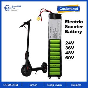  OEM ODM LiFePO4 lithium battery pack Electric Scooter battery 24V 36V 48V for Electric Bicycles/Scooter Manufactures