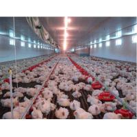 China Auto Oil-burning Heating Machine for poultry for sale