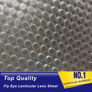 China OK3D fly eye 3d sheet new product dot lens sheet 3d effect 360 degrees lenticular sheet arrays fly eye lenses sheet on sale