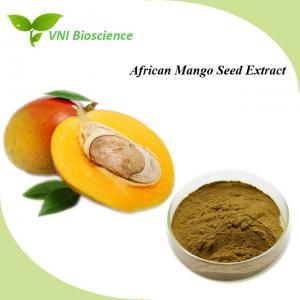 China Pure African Mango Seed Extract Powder Dietary Fibre Anti Diabetic on sale