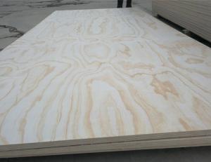  plywood pine fancy plywood 18mm from SHOUGUANG QIHANG INTERNATIONAL TRADE CO.,LTD Manufactures
