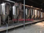 Commercial Cylindro Conical Fermenter Micro Brewery Fermentation Equipment 2BBL