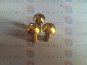  GR5 Ti6AL4V ti6Al4V Non-standard alloy titanium cylinder head bolt in stock price Manufactures