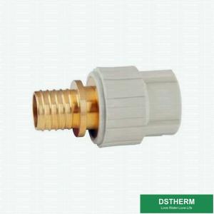 China PEX PPR Brass Slide Fittings 1/2 - 2 Converter Fitting on sale