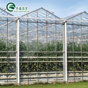  Polycarbonate Sheet Aquaponic Tomato Galvanized Steel Pipe For Prefabricated PcTent Greenhouse Manufactures