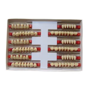 China 3 Layers Acrylic Resin Composite Teeth Denture Standard Size VITA Shade on sale