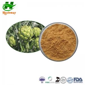  Artichoke Extract Powder C. Cardunculus L. Extract Cynarin CAS 30964-13-7 Manufactures