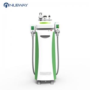 fat freezing cryolipolysis slimming machine for sale lipo laser vacuum cryolipolysis