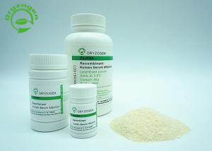  ISO9001 Recombinant HSA CAS No. 70024-90-7 Derived From Rice Has Higher Purity OsrHSA Manufactures