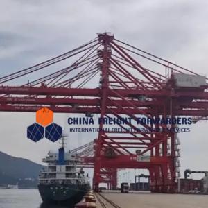 China Global Carrier Freight Forwarder Logistics Ocean Shipping From China To UK on sale
