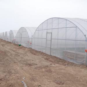 China Mini Greenhouse Galvanized Garden Greenhouses for Commercial Vegetable Growing on sale