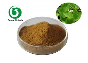  Medical Food Grade Epimedium Extract Powder Flavone 5% For Enhancing Male Sexuality Manufactures