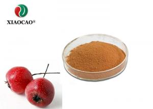Medical Grade Hawthorn Standardized Extract , Hawthorn Fruit Extract