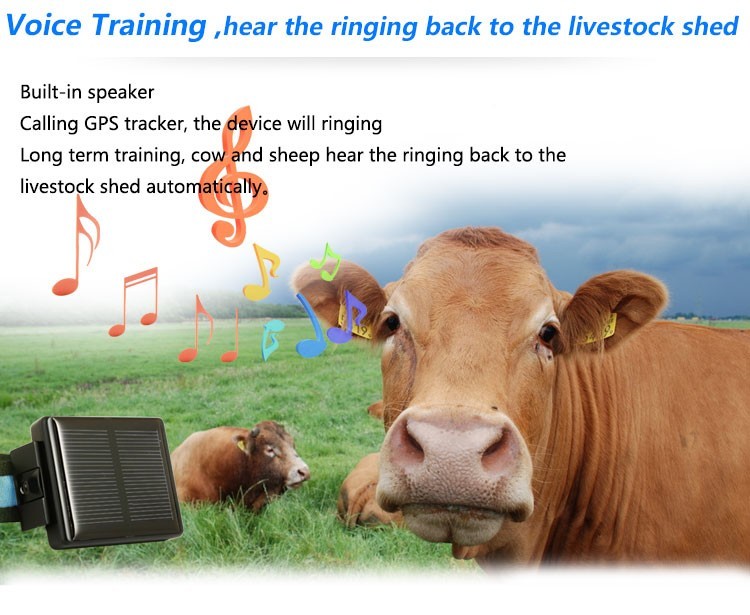 Solar Powered Waterproof Portable Real Time Pet GPS Tracking Devices