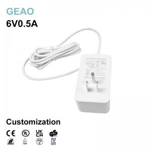  6v 0.5a Ip55 Wall Socket Power Adapters Waterproof 3 Pin Grounded Us Plug Manufactures