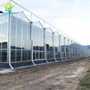  OEM ODM Safety 5mm Tempered Glass For Greenhouse Wall Covering Manufactures