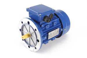  Frame 90 Asynchronous 3 Phase Induction Motor with C45 Carbon Steel And Plastic Fan Manufactures