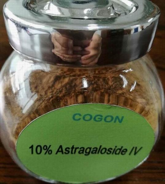 Quality Hair Growth Astragalus Powder Extract 10% Astragaloside IV 1.6% Cycloastragenol for sale