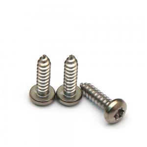  Six lobes Drive Tamper Proof Security Pan Head A2 304 Stainless Steel Self Tapping Screws Manufactures