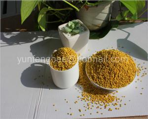 China China Made Supply High Quality Fresh Bee Pollen Grain on sale