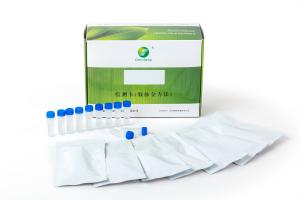  Helicobacter Pylori Antigen (HP-Ag) Rapid Test Kit (Colloidal Gold) ISO,CE cetificated 25test per box Manufactures