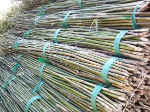 China Functional  Bamboo Pole Wear Resistant Environmental Friendly 0.1-12m Length on sale