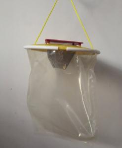 China Newest outdoor fly trap disposable fly trap for farm gardon on sale