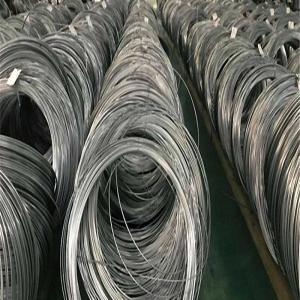  Electric Fence Spring Stainless Steel Wire Rope 6mm A479 Bright Surface Manufactures
