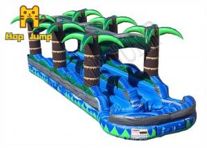  Carnival Inflatable Moonwalk Water Slide Rentals 8M 10M Digital Printing Manufactures