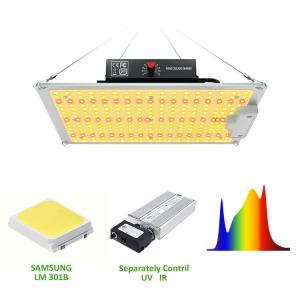  Horticulture 100w LED Grow Lights For Indoor Plants 160lm/W Manufactures